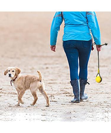 Buy Durable Dog Toys: Flee Durafoam Ball & Rope - Perfect for Large & Small Dogs - International Shipping Available - Buy Online on SooperMarket.com