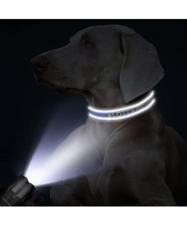 Tagme Personalized Dog Collar for Small Dogs - Embroidered Reflective Nylon with Pet Name & Phone Number - King Blue - 1 Pack - Buy Online on SooperMarket.com