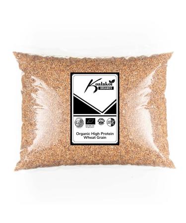 Koalakoi ORGANIC Certified Wheat Grain (4.5kg) | High Protein & Fibre | Premium Quality Non-GMO | 100% Natural | Source Of Minerals (4.5kg)