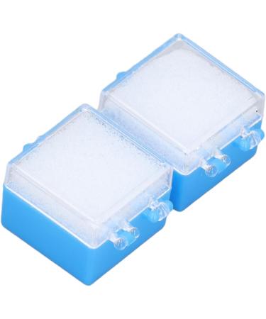 Pack of 20 Durable Plastic Bridge Boxes for Denture Storage | Foam Insert Portable & Ideal for Laboratories and Clinics - Buy Online on SooperMarket.com