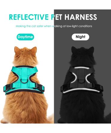 Breakproof Cat Leash Set & Adjustable Soft Kitten Vest with Reflective Stripes - Green Small Cat Dishes for Kittens - Buy Online on SooperMarket.com