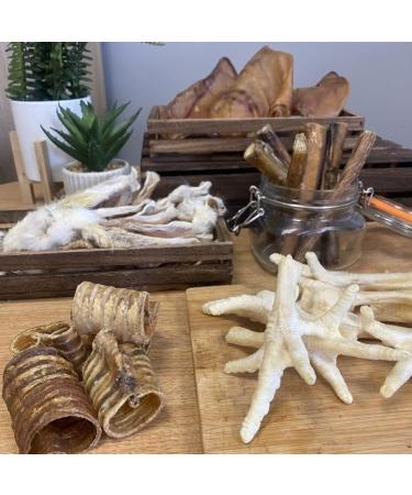 Small Buffalo Horns x 5 Natural Dog Treats Chews LPD - Buy Online on SooperMarket.com