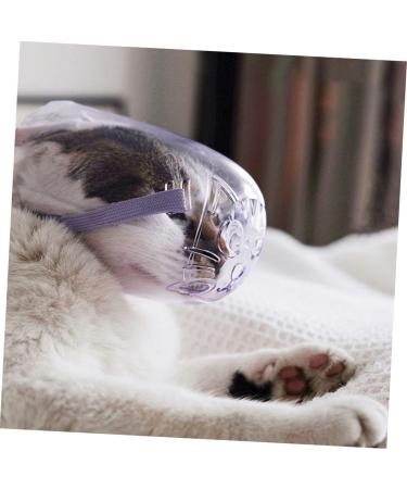 Kisangel 2pcs Cat Muzzle Cat Dog Muzzles Cat Head Muzzle Transparent Muzzle Cat Pp - Buy Online on SooperMarket.com