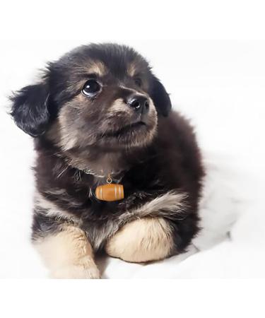 Buy Langjitianya Bernhardiner Rescue Barrel Collar for Small Dogs - Adjustable Mini-Barrel Band (Size S) in Braun - International Shipping Available - Buy Online on SooperMarket.com