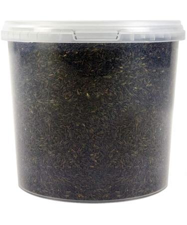 SQUAWK Niger Seed | Premium Wild Bird Food | High Energy Nutritious Garden Feed Mixture | Promotes Healthy and Strong Feathers | Great for Small Birds Like Finches Siskins Redpolls Sparrows (1L Tub) 1 l (Pack of 1)