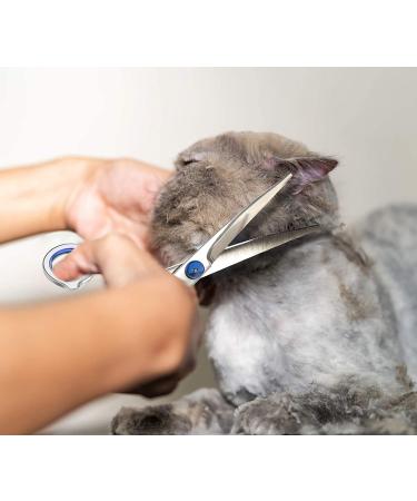 Petsvv 7 Curved Dog Grooming Scissors | Safety Round Tips | Lightweight Professional Shears for Dogs & Cats | Stainless Steel | Blue - Buy Online on SooperMarket.com