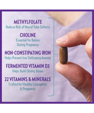 New Chapter Prenatal Vitamins Prenatal Multivitamin with Methylfolate + Choline for Healthy Mom Baby One Daily 60 Count 1 count (Pack of 90) - Buy Online on SooperMarket.com