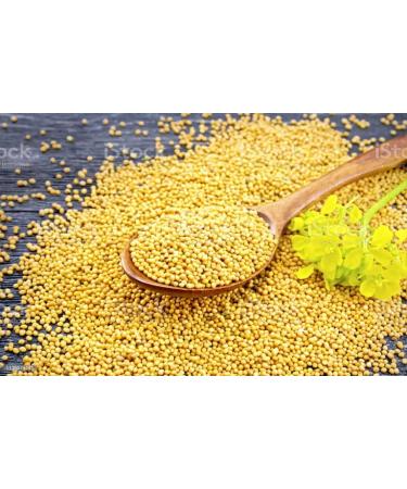 Farm Royale Yellow Mustard/Pili Sarso Whole & Kasuri Methi/kasoori fenugreek leaves-1+1 Combo-(200gm & 50gm)||100% Pure and Natural||Export Quality||Hand picked materrial - Buy Online on SooperMarket.com