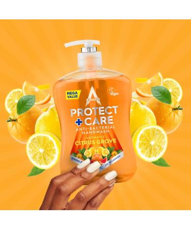 Astonish Protect & Care Citrus Grove Hand Wash 650ml | Moisturising & Anti-Bacterial - Buy Online on SooperMarket.com