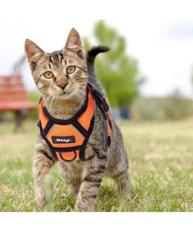 Breakproof Cat Leash Set & Adjustable Soft Kitten Vest - Reflective Stripes | Orange Small Dishes for Kittens - Buy Online on SooperMarket.com