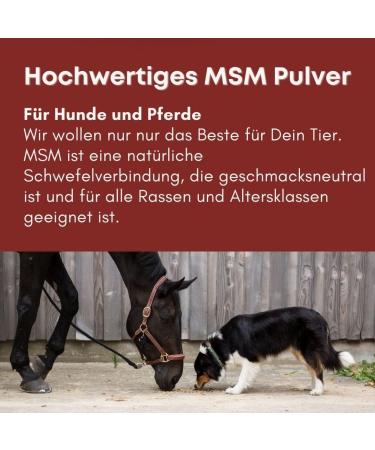Petgold MSM Horse Powder 1000g | High Dose Sulfur Methylsulfonylmethane for Dogs & Horses - Buy Online on SooperMarket.com