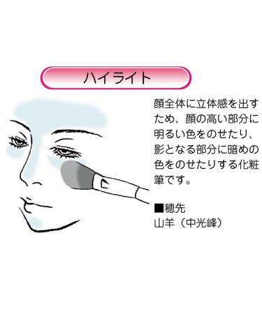Buy Akashiya B6-BS Basic Type Makeup Brush for Flawless Highlighting - International Shipping Available - Buy Online on SooperMarket.com