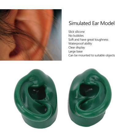 Silicone Human Ear Model - Soft Waterproof & Realistic for Acupuncture Jewelry & Audio Recording - Ideal for Education - Buy Online on SooperMarket.com