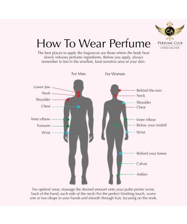 CA Perfume Impression of Number19 Poudre For Women Replica Version Fragrance Dupes Concentrated Long Lasting Eau de Parfum Spray Refillable Atomizer Bottle 0.17 Fl Oz/5ml-X1 CHNL NUMBER19 POUDRE IMPRESSION 0.17 Fl Oz (Pack of 1) - Buy Online on SooperMarket.com