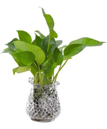EBOOT 10000 Gel Soil Water Crystal Beads - Clear Jelly Water Gems Vase Filler - Buy Online on SooperMarket.com