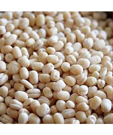 TRS Urid Dall | 2KG | Urid Dall | Urad Dall | High Fibre | High Protein | Natural | Gluten Friendly | Indian Origin - Buy Online on SooperMarket.com