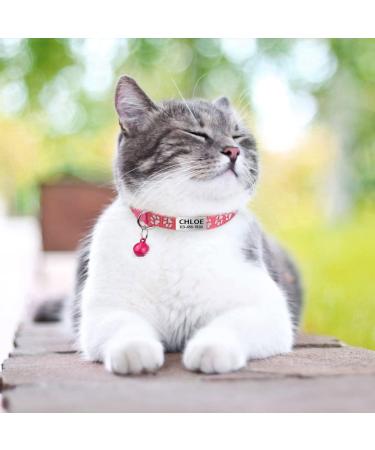 Tagme Cat Collar - 2 Pack Pink Adjustable Neck Band with Name & Phone Number Safety Clasp & Bell Standard Size 18-31 cm - Buy Online on SooperMarket.com