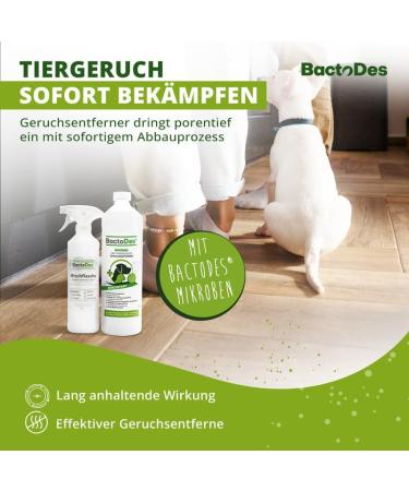 Buy BACTODES 2L Animal Odor Neutralizer - Strong Enzyme Cleaner for Cat & Dog Urine - Effective Organic Microbe Spray - 1 Pack - Buy Online on SooperMarket.com