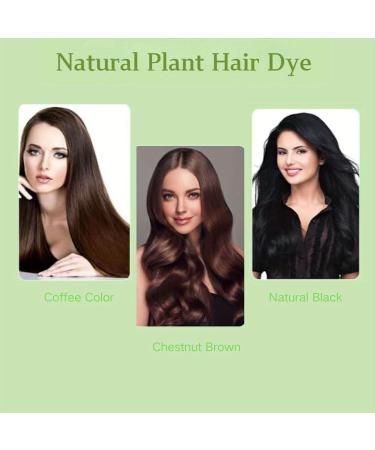 Natural Plant Hair Dye | 10ml Bubble Shampoo - Chestnut Brown | Gray Hair Coverage | Eco-Friendly & Gentle Formula | Shop Now - Buy Online on SooperMarket.com