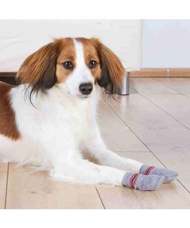Trixie 19504 Dog Socks - Anti-Slip Large (L) Grey - 2 Pcs - Ideal for Dogs | International Shipping Available - Buy Online on SooperMarket.com