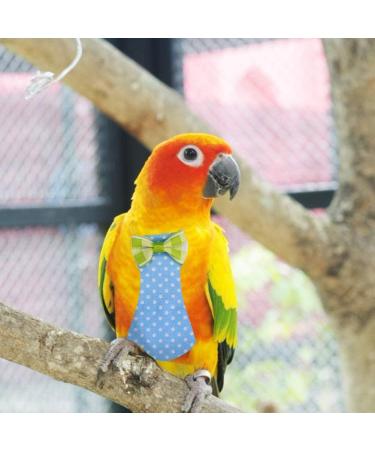 Viagasafamido Reusable Parrot Diaper Flight Suit - Washable Bird Diaper Clothing for Comfortable Travel (Blue) - Buy Online on SooperMarket.com