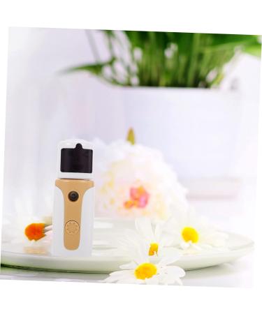 Housoutil 1 Set Hydrating Instrument Humidifier Portable Face Steamer Face Water Meter Air - Buy Online on SooperMarket.com