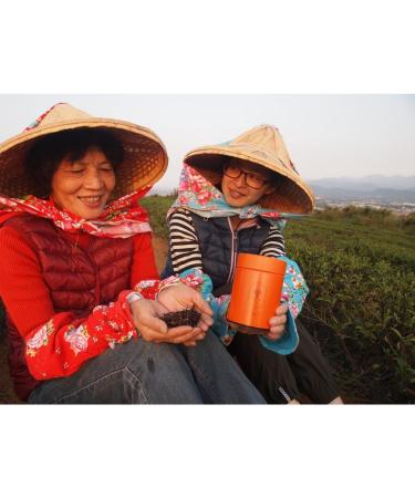 Taiwan unique tea Oriental Beauty tea 75g*4 - Buy Online on SooperMarket.com