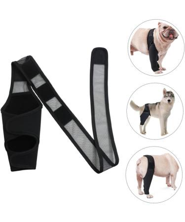 CORHAD Dog Leg Braces for Hindleg Comfortable Dog Knee Dog Back Leg Protector Puppy Pet Mesh Fabric Care M As Shown - Buy Online on SooperMarket.com
