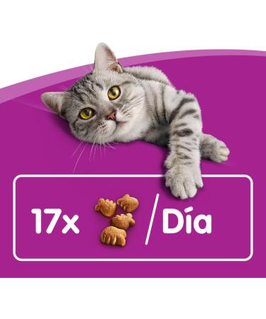 Whiskas Dentabites Cat Snack - Chicken Flavor (Pack of 8 x 40g) - International Shipping Available - Buy Online on SooperMarket.com