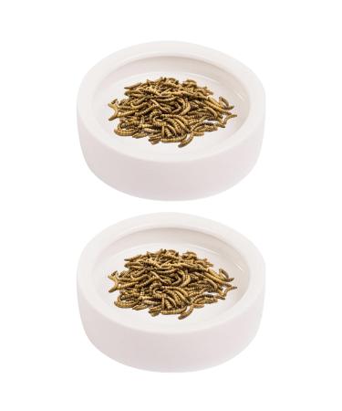JNAWA 2 Pieces Worm Dish Mini Reptile Food Bowl White Ceramic Reptile Round Feed Bowl Ceramic Water Bowl for Geckos Frogs Lizards Chameleons