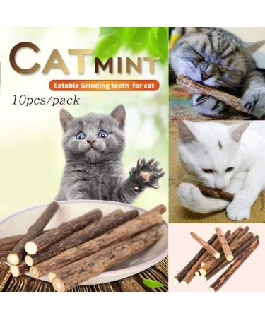 3PCS Natural Catnip Stick Cat Cleaning Teeth Molar Toothpaste Branch Cats Snacks Sticks Supplies Kitten Pet Biting Excitement Stick - Buy Online on SooperMarket.com