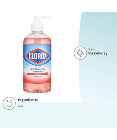Clorox Liquid Hand Soap - 16 Fl Oz Pump Germ Eliminator Soft on Hands Tough on Dirt Strawberry Scented Hand Wash & Foam Soap - Buy Online on SooperMarket.com