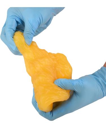 Medical Human Body Silicone One Pound Fat Model Human Body Fat Structure Tissue Practice Training Simulation Teaching Aid - Buy Online on SooperMarket.com