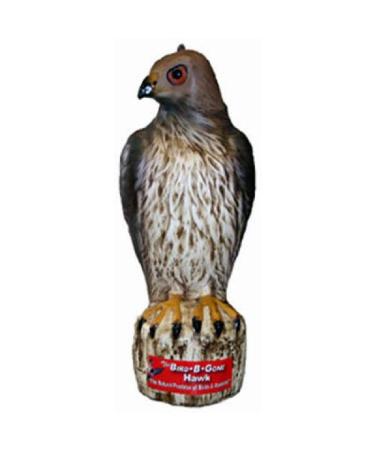 Bird B Gone MMRTH1 Hawk Decoy
