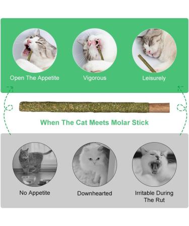 OSDUE 12PCS Cat Catnip Sticks Catnip Toys for Cats Teething Toys Cat Chew Toy Teeth Clean Chewing Grindin for Cat Kitten Kitty Natural Wood Sticks for Cats Play and Relax A-12 PCS Cat Catnip Sticks - Buy Online on SooperMarket.com