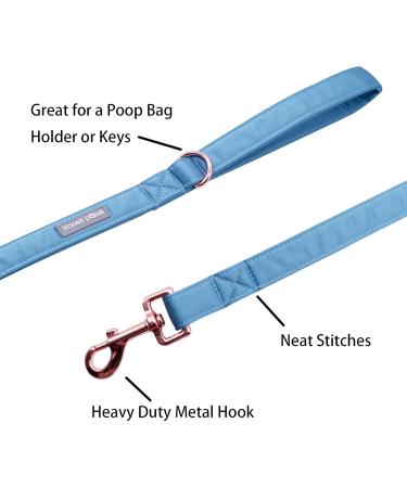 Lionet Paws Dog Leash - Stylish Silk Leash for Small Medium & Large Dogs | Matching Collars Available | Blue XS Leash (Pack of 1) - Buy Online on SooperMarket.com