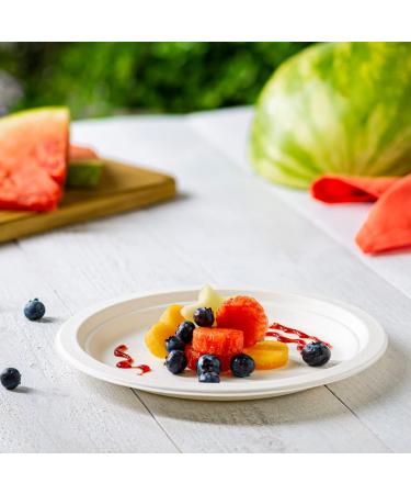 125-Pack 9 Inch Eco-Friendly Compostable Paper Plates - Heavy-Duty Sugarcane, Disposable, White - 125 Count - Buy Online on SooperMarket.com