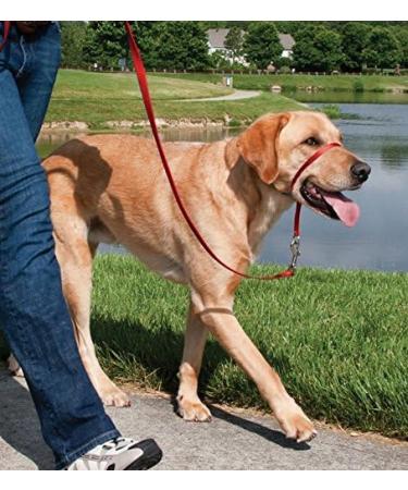 Meta Title: PetSafe Easy Walk Head Collar Red - Adjustable Training Solution - Buy Online on SooperMarket.com
