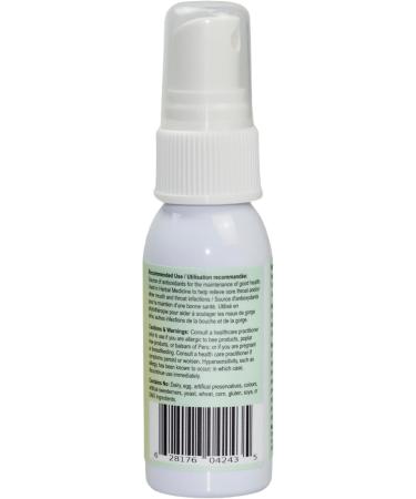 Bee Propolis Throat Spray Alcohol Free 30ml Soothing Immune Support From Prairies saskatchewan. pack of 1 - Buy Online on SooperMarket.com