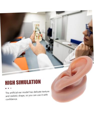 FOMIYES Silicone Human Ear Model for Piercing Teaching Display - Coffee 6.5x3.5cm - Buy Online on SooperMarket.com