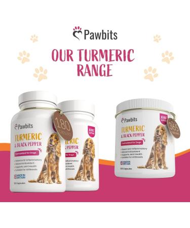 180 Turmeric for Dogs with Bioperine | Natural Premium Curcumin Capsules for Pets | Antioxidant Supplement for Hip & Joints - 180 Caps - Buy Online on SooperMarket.com