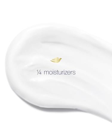 Dove Invisible Solid Antiperspirant Deodorant Stick for Women Powder For All Day Underarm Sweat & Odor Protection 2.6 oz 2.6 Ounce (Pack of 1) Fresh - Buy Online on SooperMarket.com