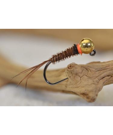 Region Fishing Tungsten Bead Hot Spot Pheasant Tail Jig Fly - Euro Nymph - Hanak Hooks 6ct Assortment - Buy Online on SooperMarket.com