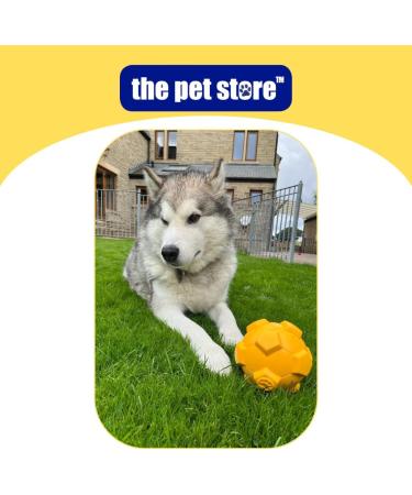 Emperor Blue Gorilla Tuff Floating Football Dog Toy for Interactive Games and Exercise - Buy Online on SooperMarket.com