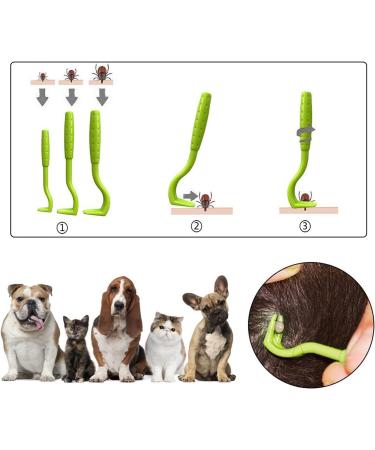 PQLQ Tick Card - 6 Piece Tick Removal Tool Set with Magnifying Glass for Pets & Humans | Quick & Gentle Tick Removal - Buy Online on SooperMarket.com