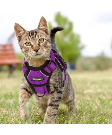 Breakproof Cat Leash Set with Adjustable Reflective Vest & Dishes for Small Kittens - Purple XS - Buy Online on SooperMarket.com