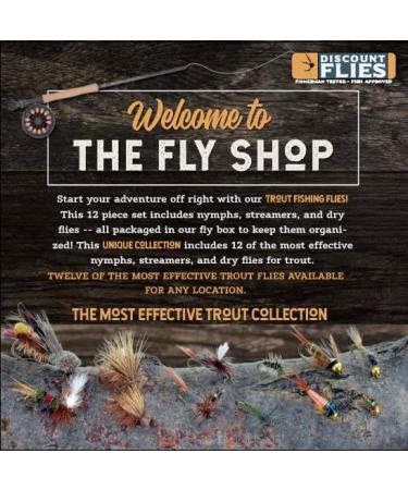 DiscountFlies Terrestrial Dry Fly Fishing Kit w/ Fly Box - 12 Realistic Trout Flies for Effective Fishing - Buy Online on SooperMarket.com