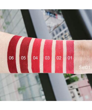 3Pcs Matte Liquid Lipstick Set - 24 Hour Long Lasting Waterproof Lip Stain Makeup - Dark Red & Nude Lip Gloss Kit for Women - Buy Online on SooperMarket.com
