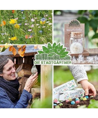 City Gardeners Wunsch F ller - Handmade Small Pustblumen Umbrella | Perfect Birthday & Wedding Gift | Unique Lucky Glass from Germany - Buy Online on SooperMarket.com