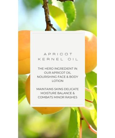 Fragrance-Free Apricot Oil Nourishing Face & Body Lotion - Hydrating Gentle Vegan Skincare for All Skin Types | International Shipping Available - Buy Online on SooperMarket.com